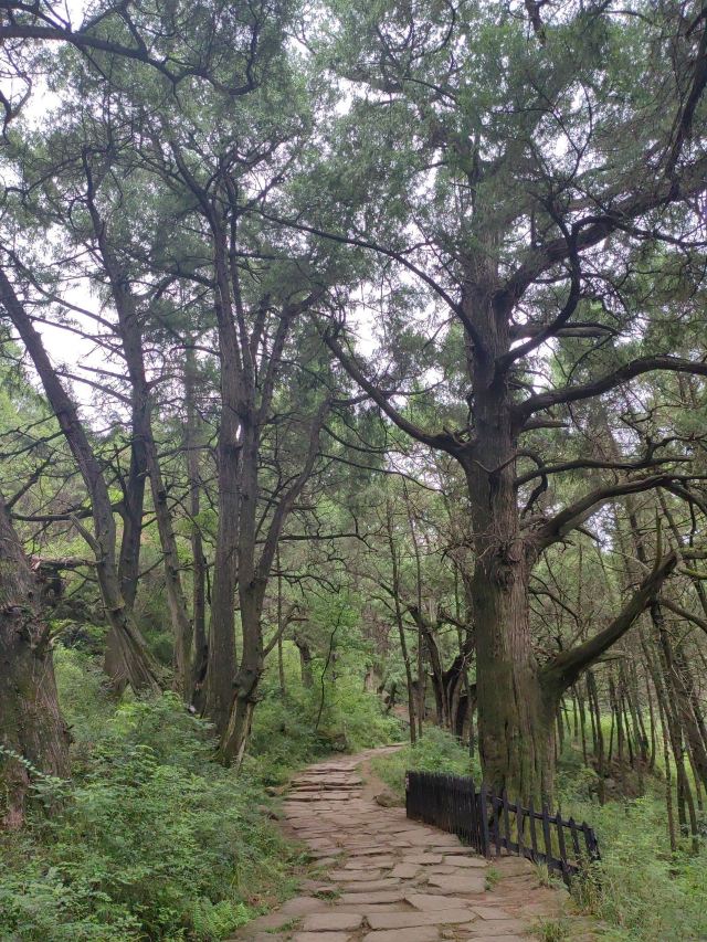 先秦古蜀道旅行图片 4