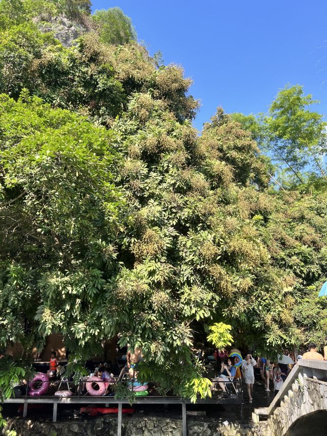 天琴壮寨旅行图片 9