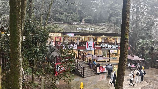 青城山景区旅行图片 3