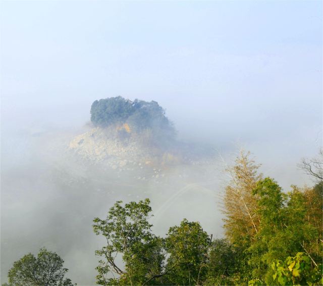 君山岛景区旅行图片 1