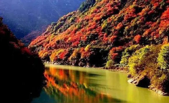 秦岭风景区旅行图片 3