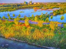 阿克苏多浪河国家湿地公园-阿克苏市-迪肯孔裴矩