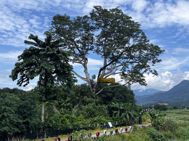 极边第一村龙利景区旅行图片 8