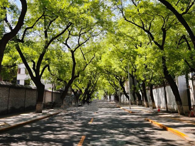 北京东交民巷使馆建筑群旅行图片 1