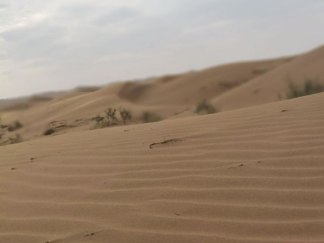 骆驼湖旅行图片 1