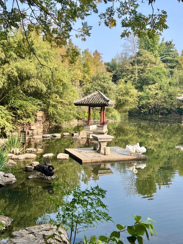 水绘园旅行图片 6