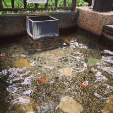 礁溪温泉公园-宜兰-ariel423