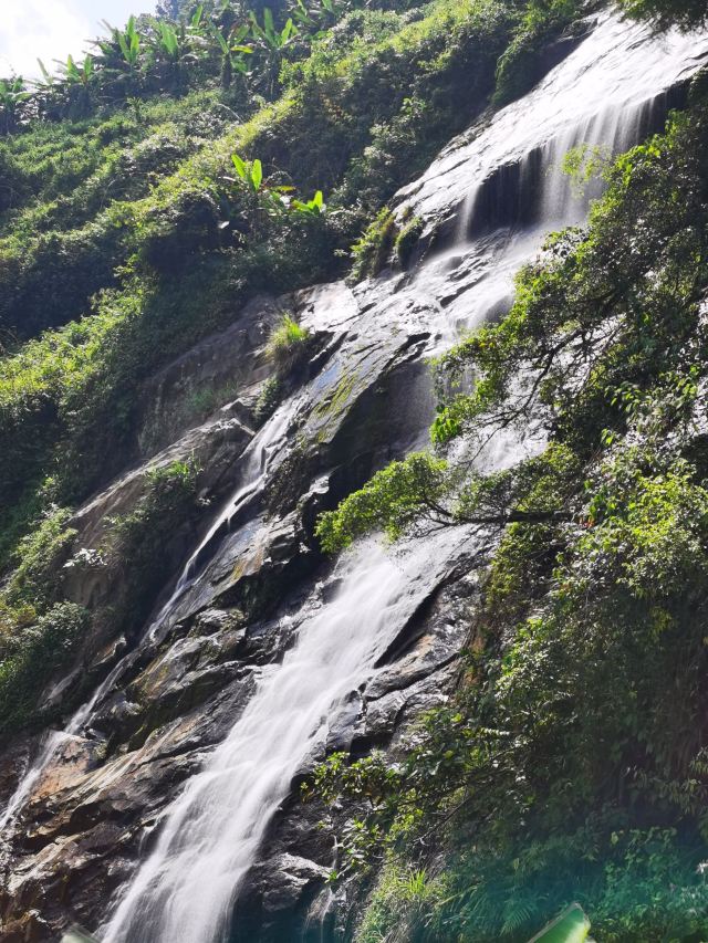 海南百花岭热带雨林文化旅游区-小卖部旅行图片 8