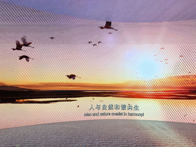 鄱阳湖国际湿地候鸟馆旅行图片 1