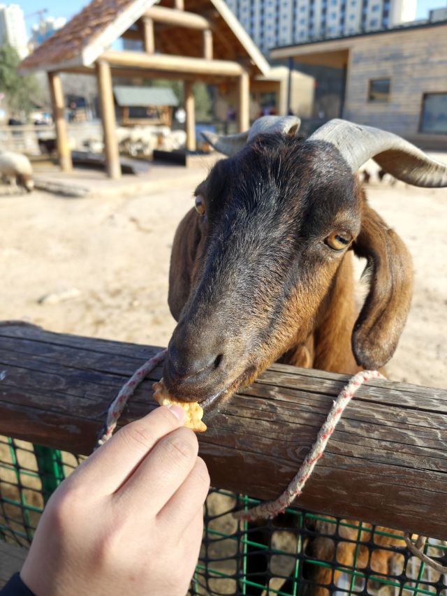 太原动物园旅行图片 3