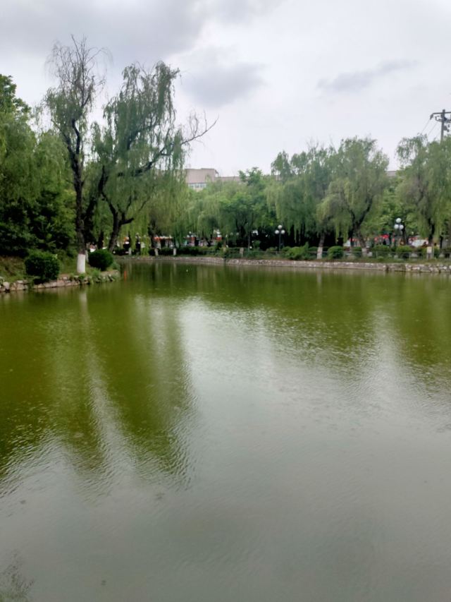 古渡公园旅行图片 8
