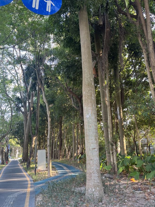尖岗山公园旅行图片 3
