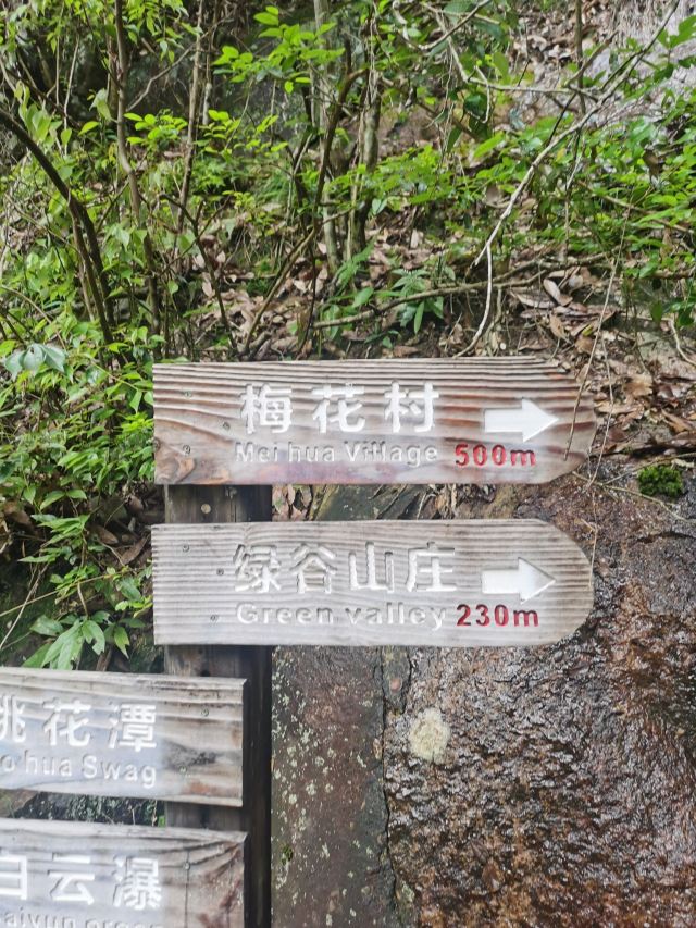 龙泉白云岩旅行图片 13