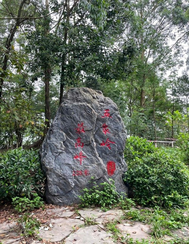 五象岭森林公园旅行图片 11
