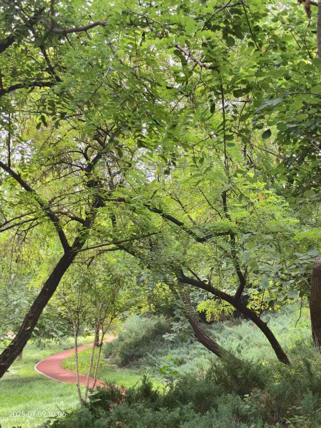 老山城市休闲公园旅行图片 6