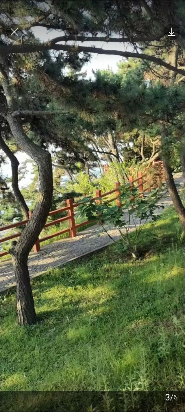 石岛公园旅行图片 7