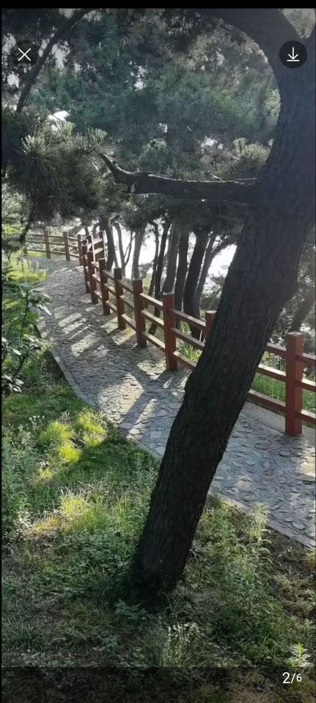 石岛公园旅行图片 8