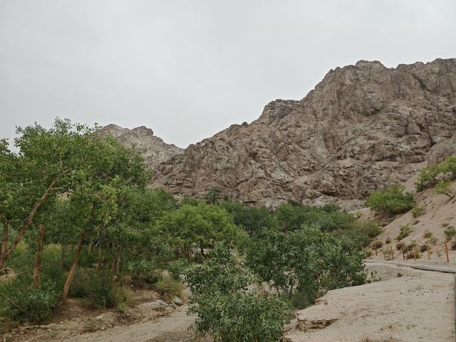 悬泉置遗址景区旅行图片 3