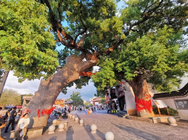 佛堂古镇旅行图片 6