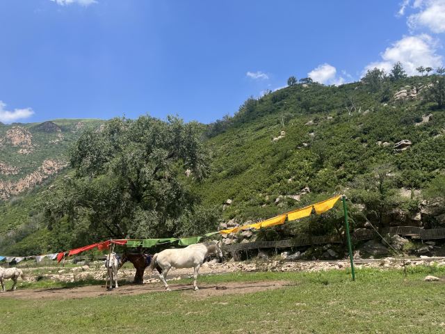 红石崖国家生态公园旅行图片 1