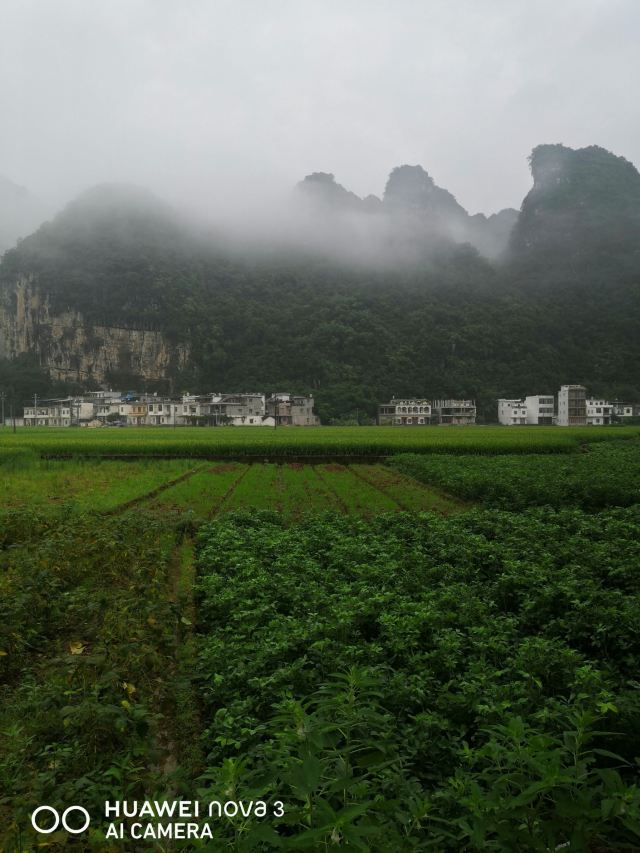 秦岭风景区旅行图片 2