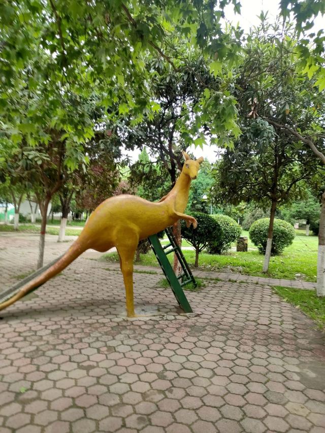 古渡公园旅行图片 14