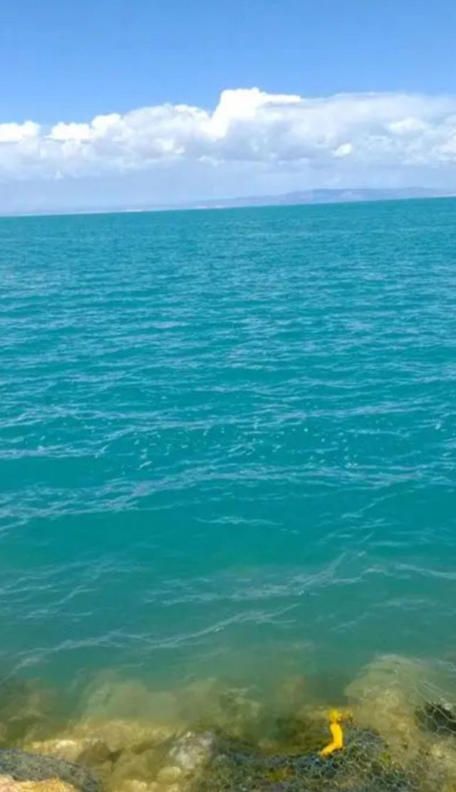 青海湖鸟岛景区(不对外开放)旅行图片 3