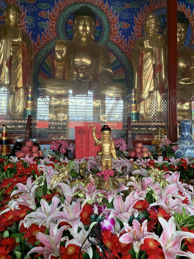 圣观音寺旅行图片 4