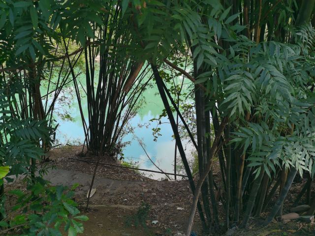 燕子洞风景名胜区旅行图片 2