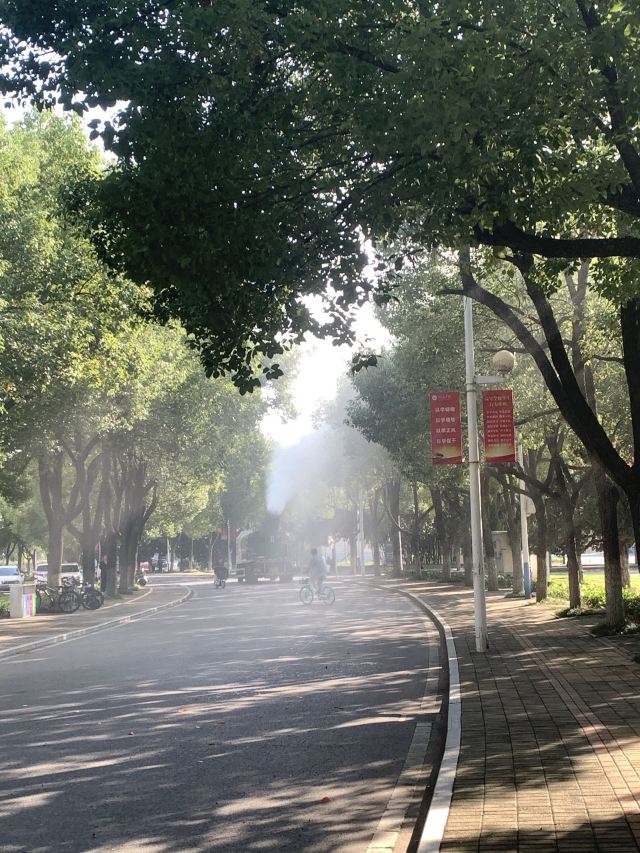 月亮岛旅行图片 1