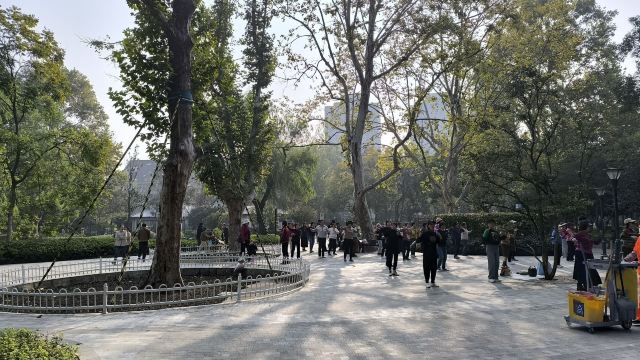闸北公园旅行图片 2