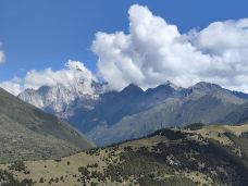 猫鼻梁-小金-会飞的鱼zzt