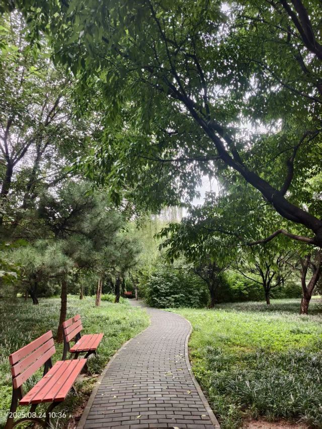 老山城市休闲公园旅行图片 8
