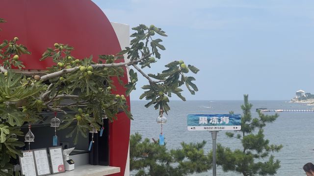 养马岛林间花海旅行图片 8