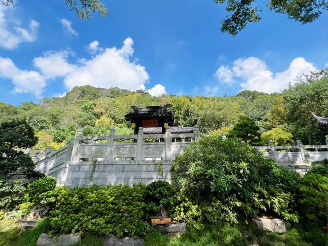 亭林园旅行图片 5