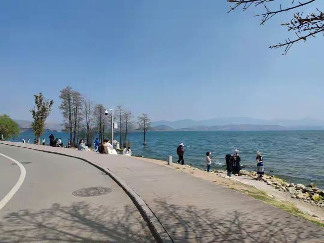 洱海最美一公里旅行图片 1