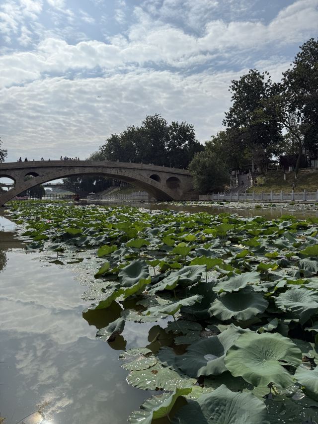 赵州桥景区旅行图片 2