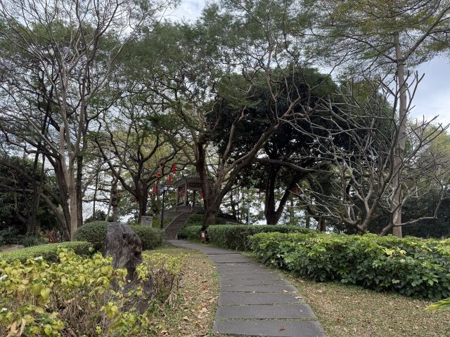 仙岳公园旅行图片 1