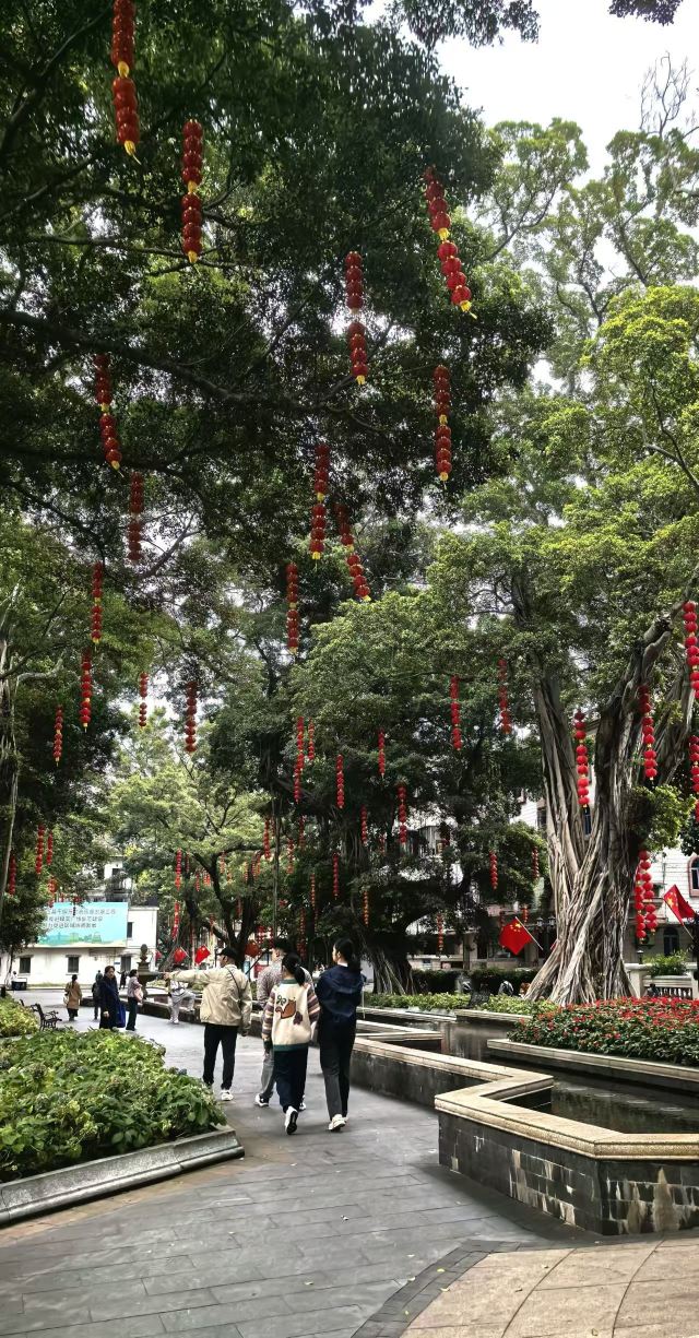 沙面旅游区旅行图片 1
