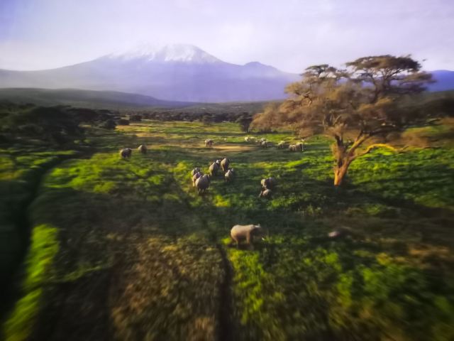 迪士尼小镇钟楼旅行图片 2