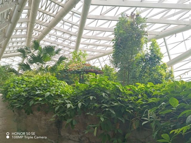 西安世博园旅行图片 12