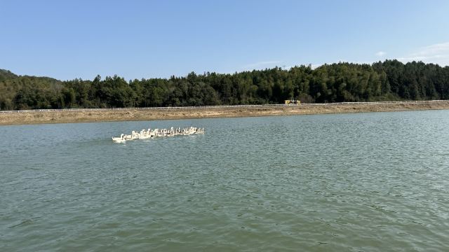 平垣秘境旅行图片 3