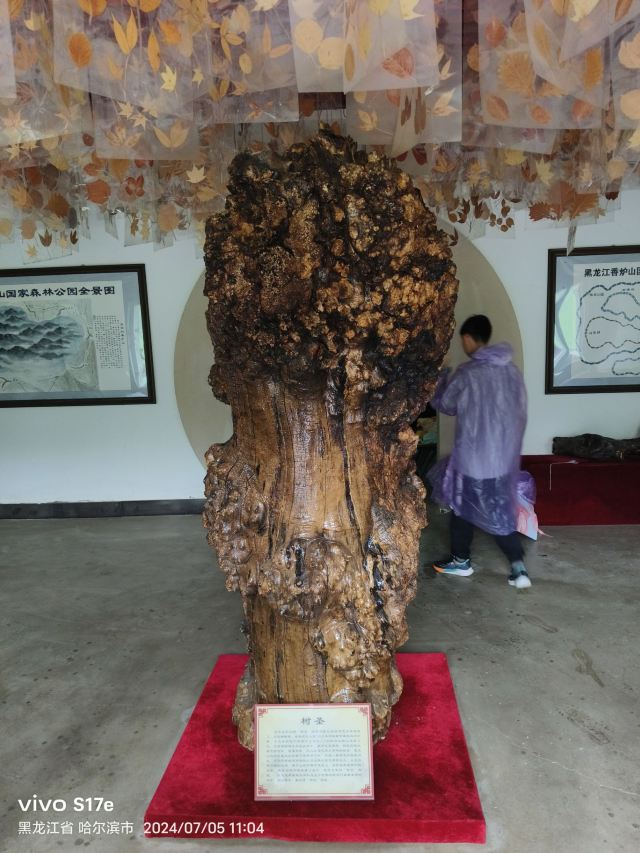 香炉山国家森林公园-自动售卖机旅行图片 3