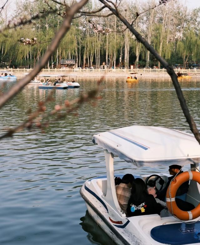 兴隆公园旅行图片 1