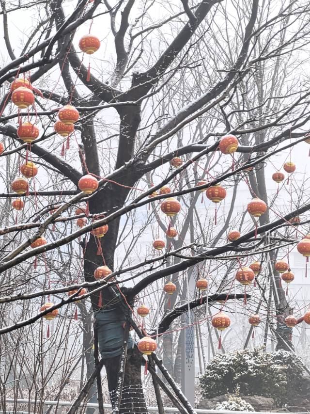 邯郸鲲乐湾国际旅游度假区旅行图片 3