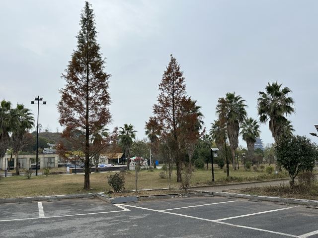 辛弃疾广场旅行图片 2