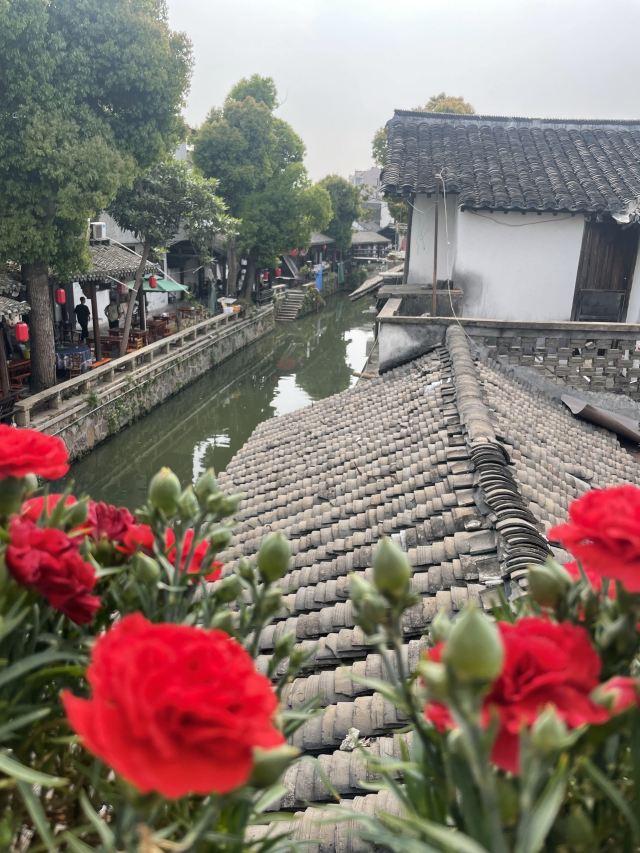 新场古镇旅行图片 9