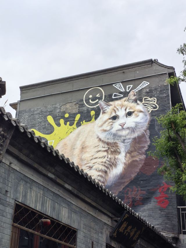 胜芳古镇旅行图片 4