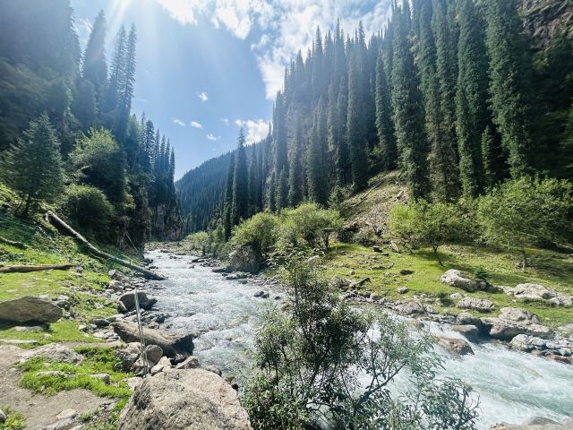 恰西草原风景旅游区旅行图片 1