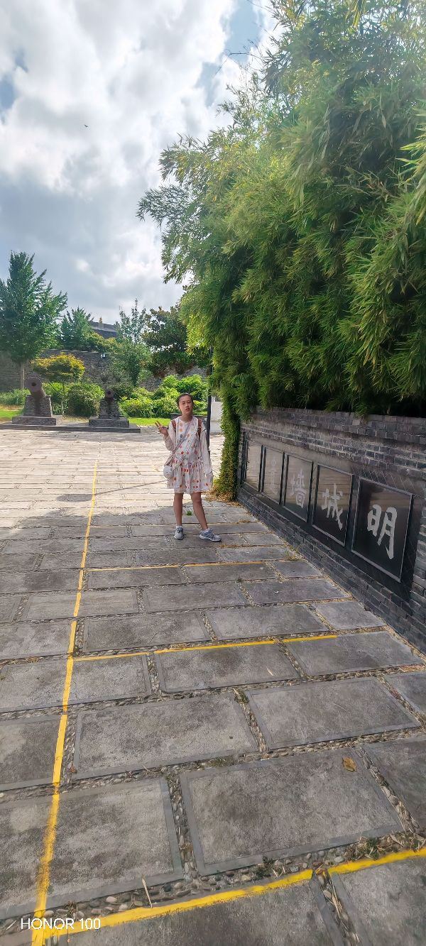 金东门老街旅行图片 15